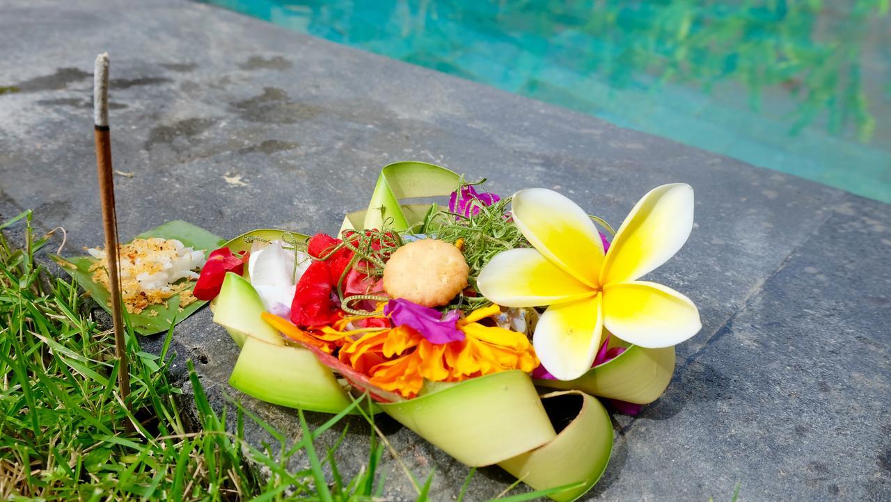 Wiki Bali Hotel Ubud  Ngoại thất bức ảnh
