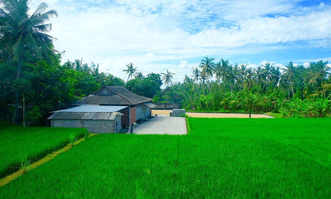 Wiki Bali Hotel Ubud  Ngoại thất bức ảnh
