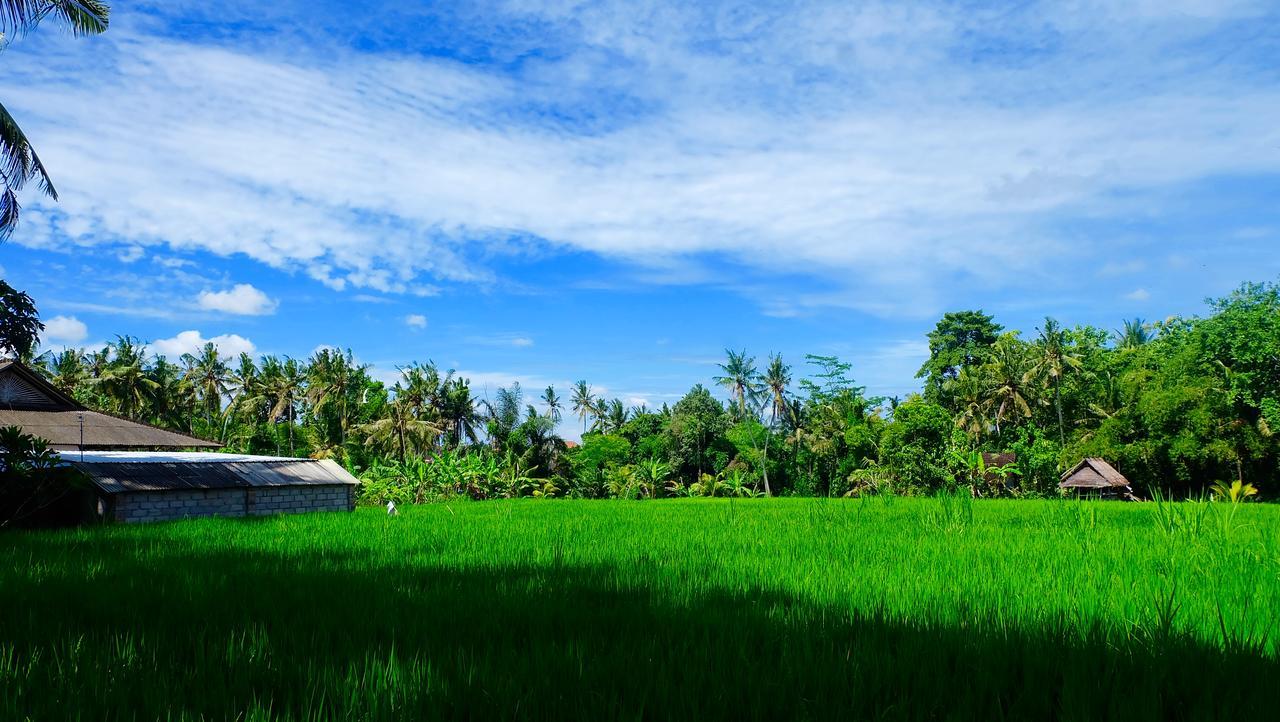 Wiki Bali Hotel Ubud  Ngoại thất bức ảnh